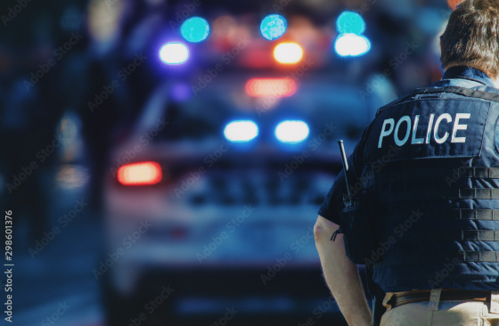 Megan Kang: What 99 men from Chicago's most violent neighborhoods teach us about crime