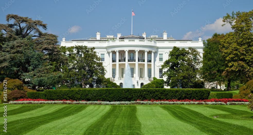 Executive Absolutism: The Dynamics of Authority Acquisition in a System of Separated Powers